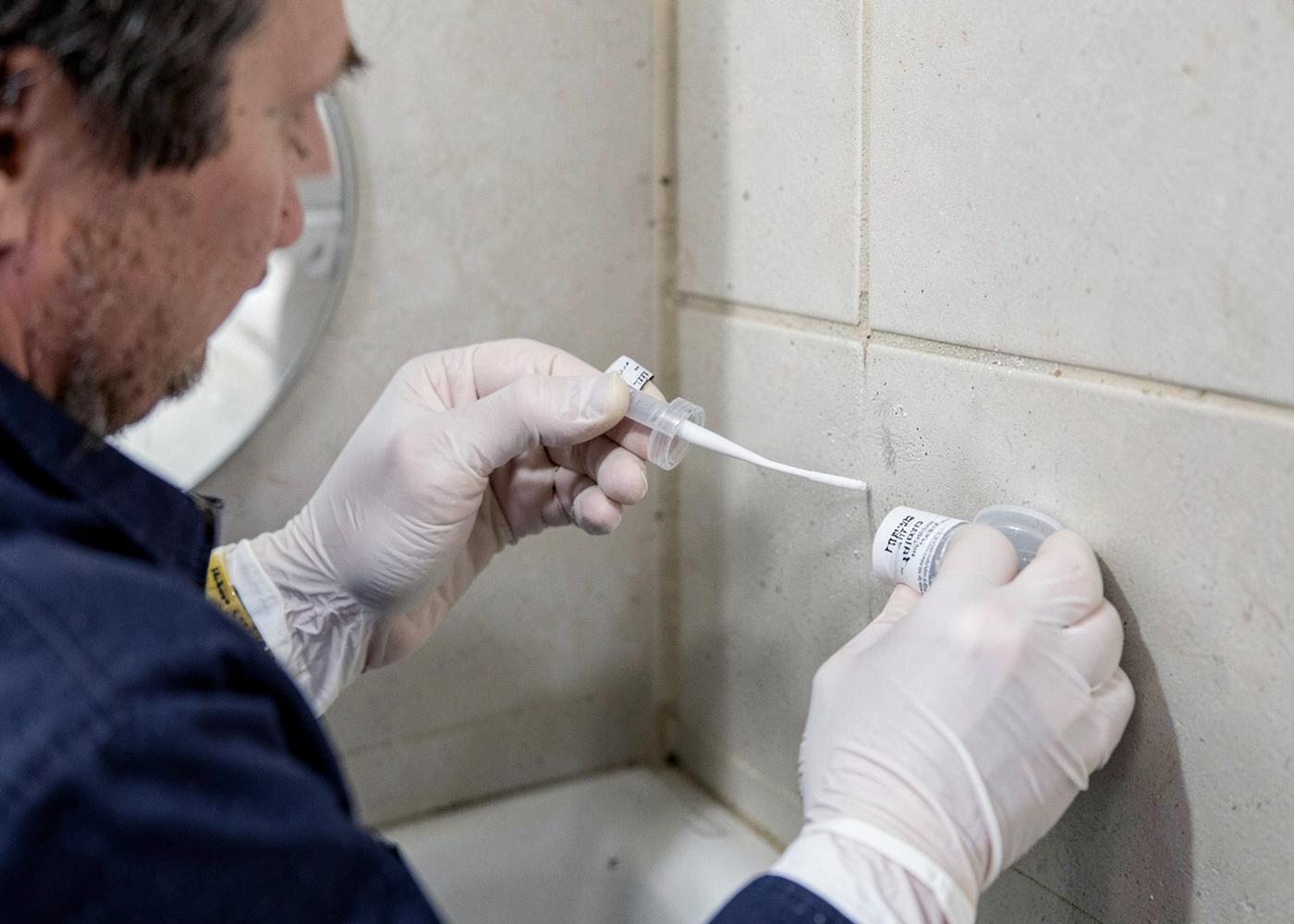 Inspector collecting a surface swab mold sample from a bathroom wall in Manhattan Beach, CA